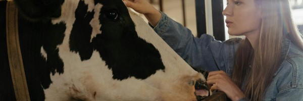 MRNA vaccines in farm animals