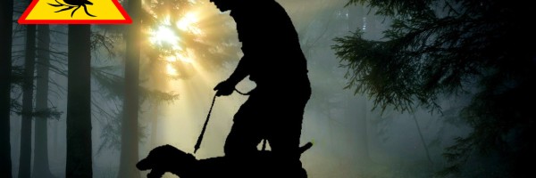The Lyme disease lie