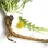 Cancer treatments and healing