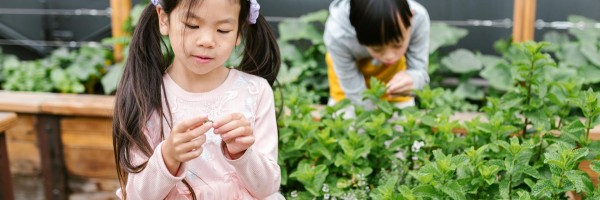 Autism possible treatments