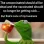 Kermit's got a point!